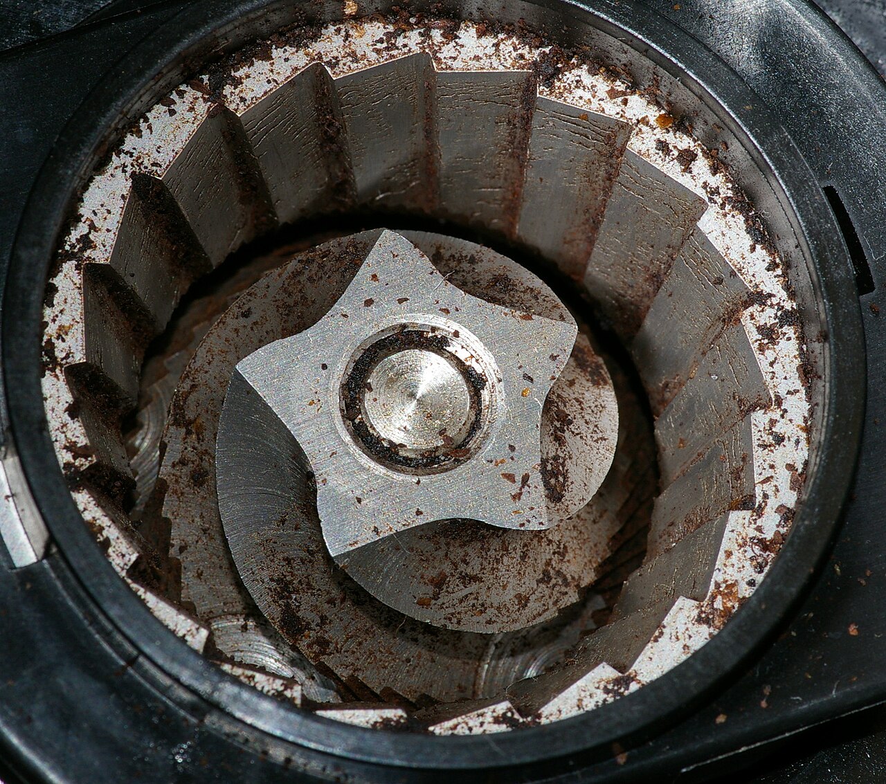 Actual exposed coffee-grinder burrs with coffee residue