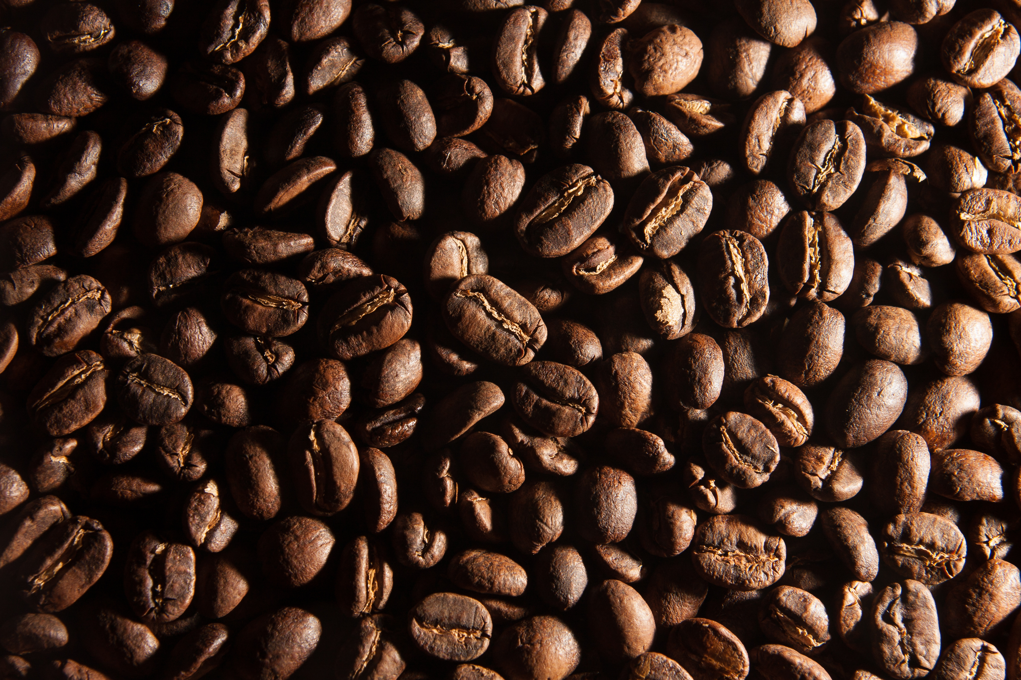 Roasted coffee beans